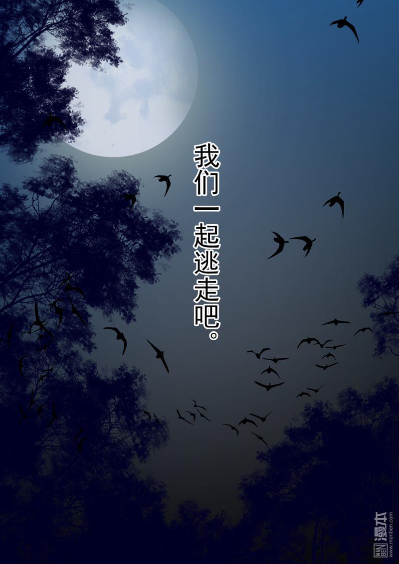 第3回情仇（1）（16P）