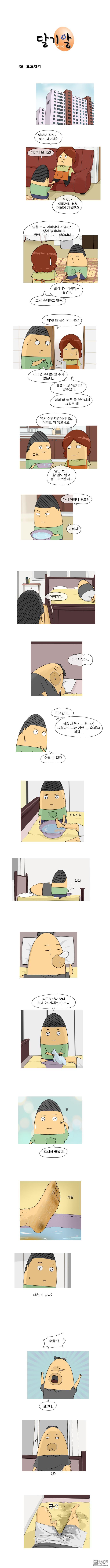 第68話（1P）