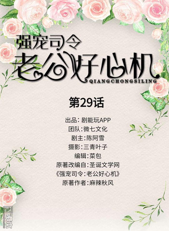 第29回（11P）