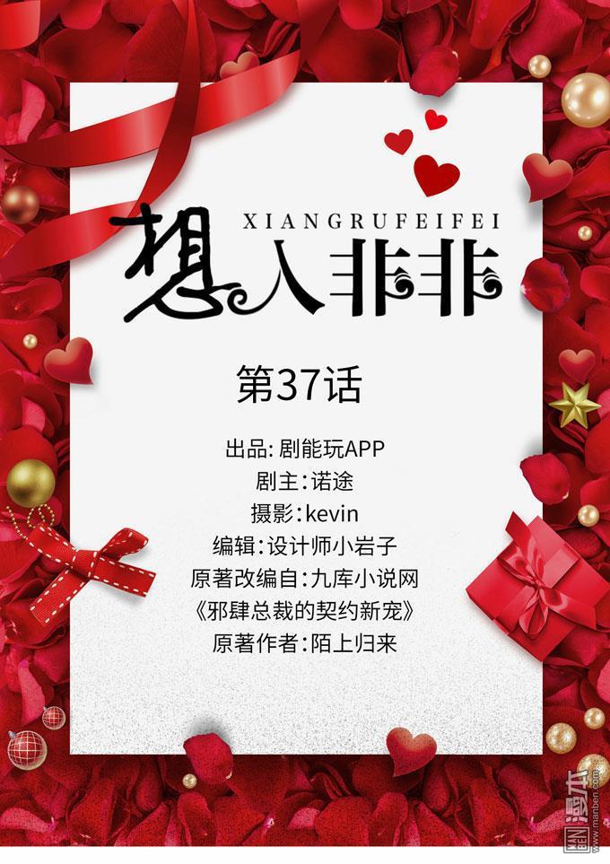 第37回（13P）