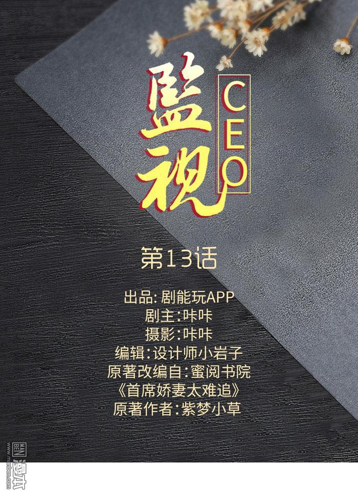 第13回（12P）