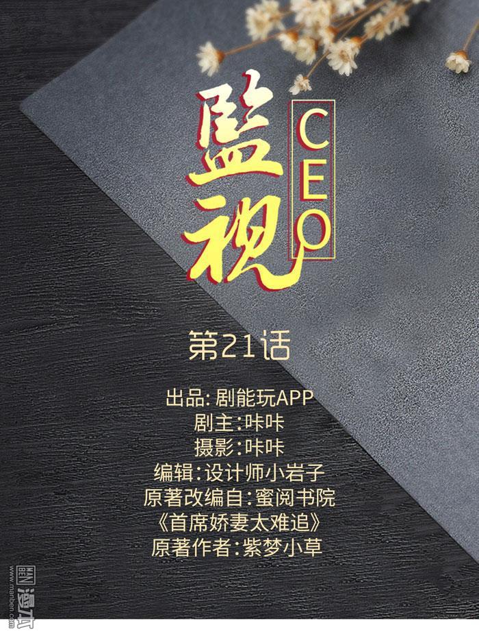 第21回（13P）