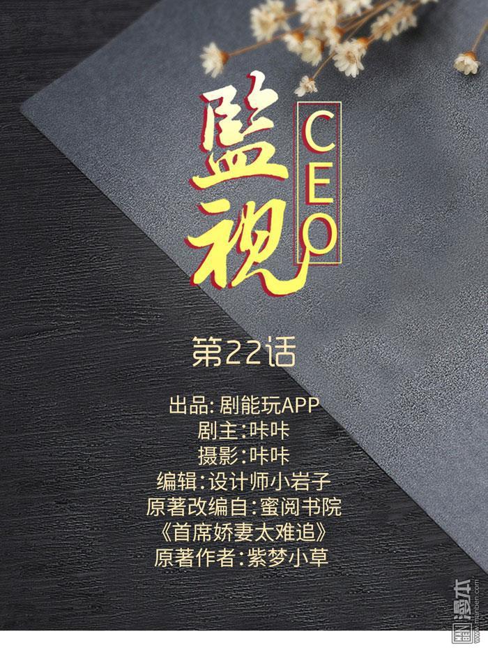 第22回（13P）