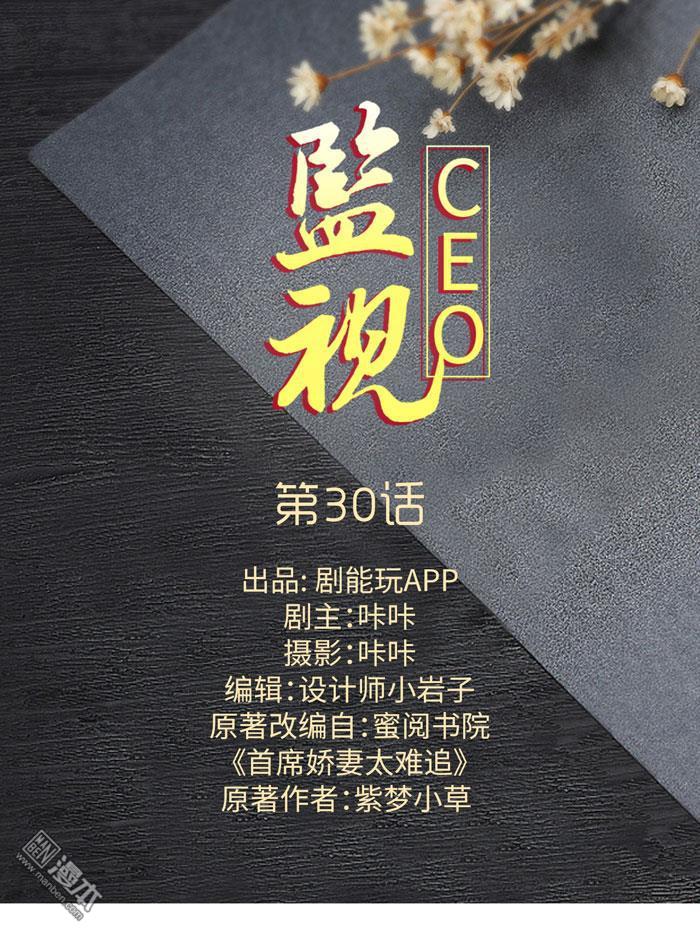 第30回（13P）