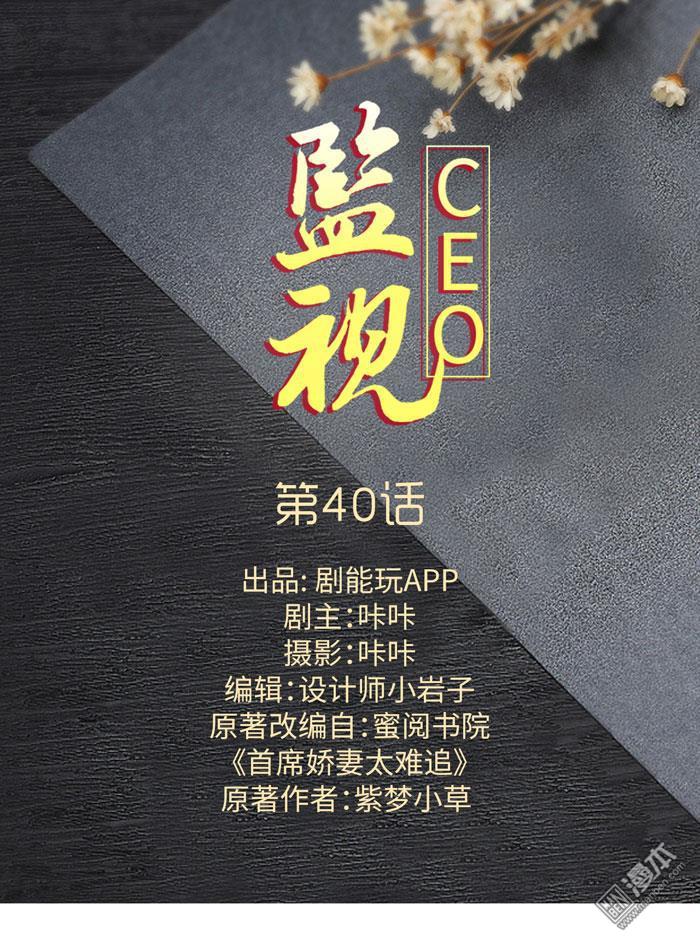 第40回（11P）