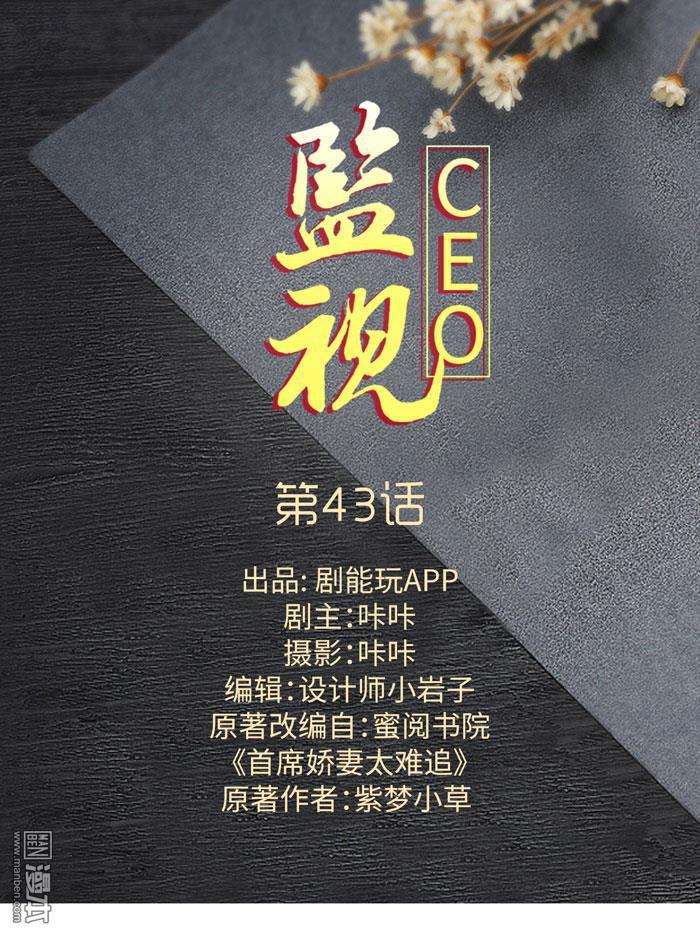 第43回（11P）