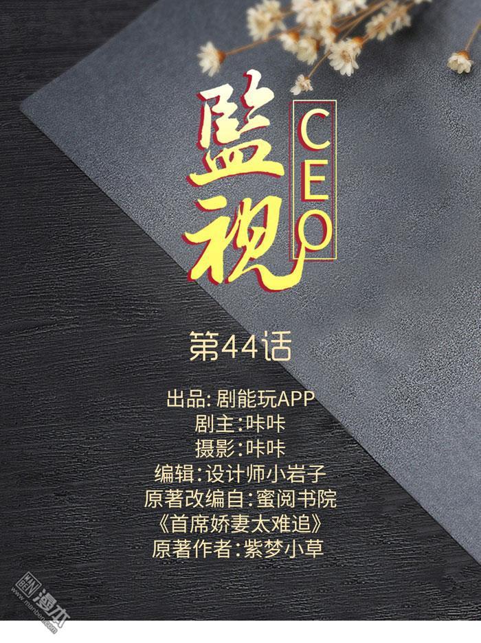 第44回（12P）