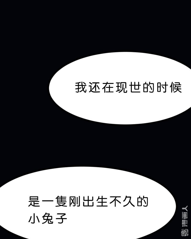 第34回關於這隻兔子的過去（1）（62P）