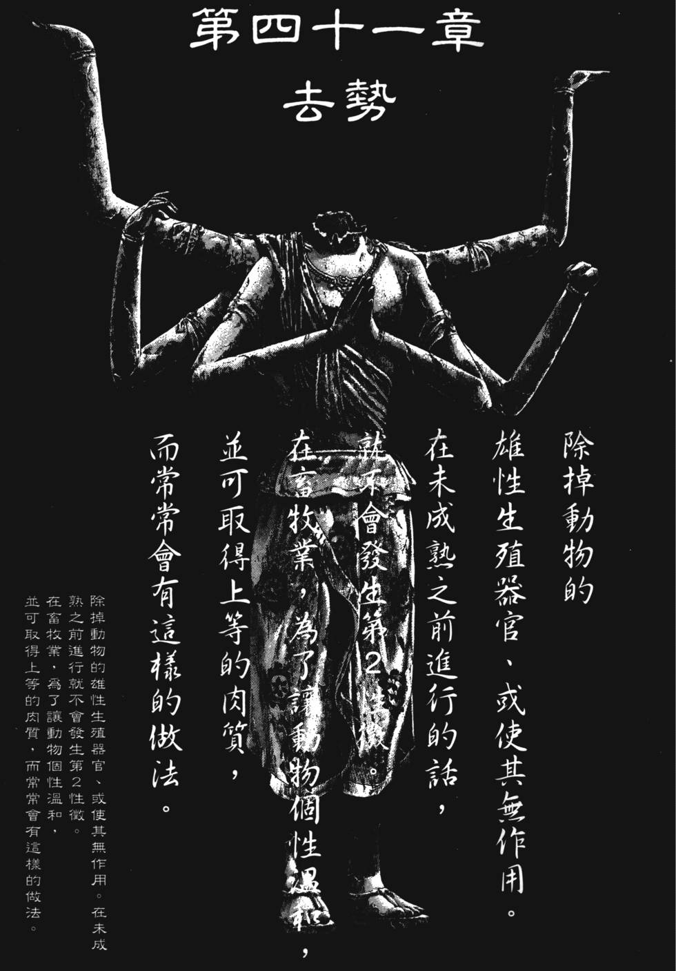 第41章（20P）