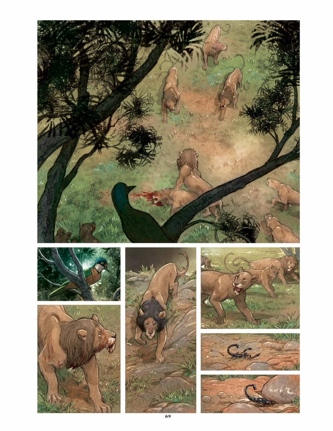 獅子（75P）