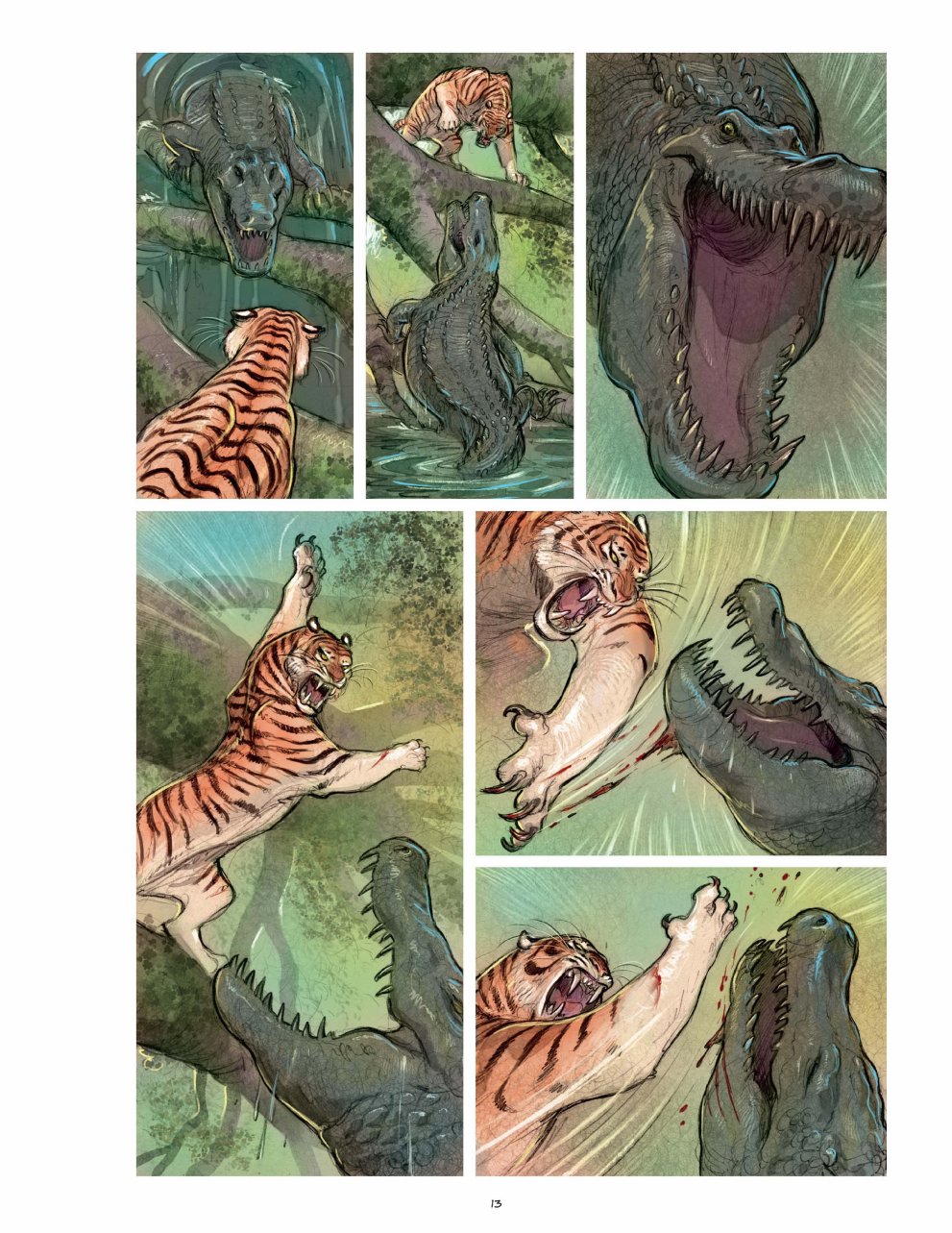 老虎（74P）