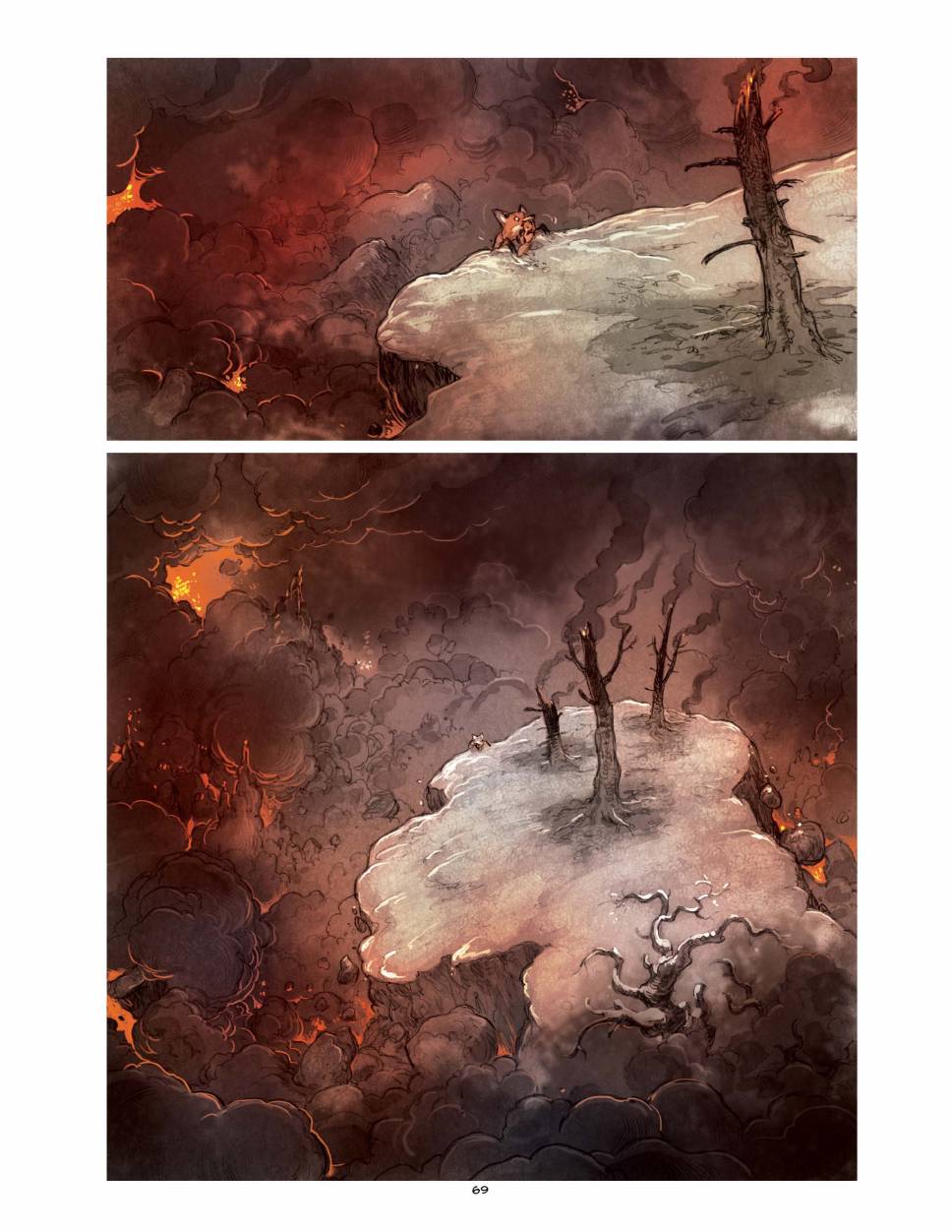 狐狸（75P）