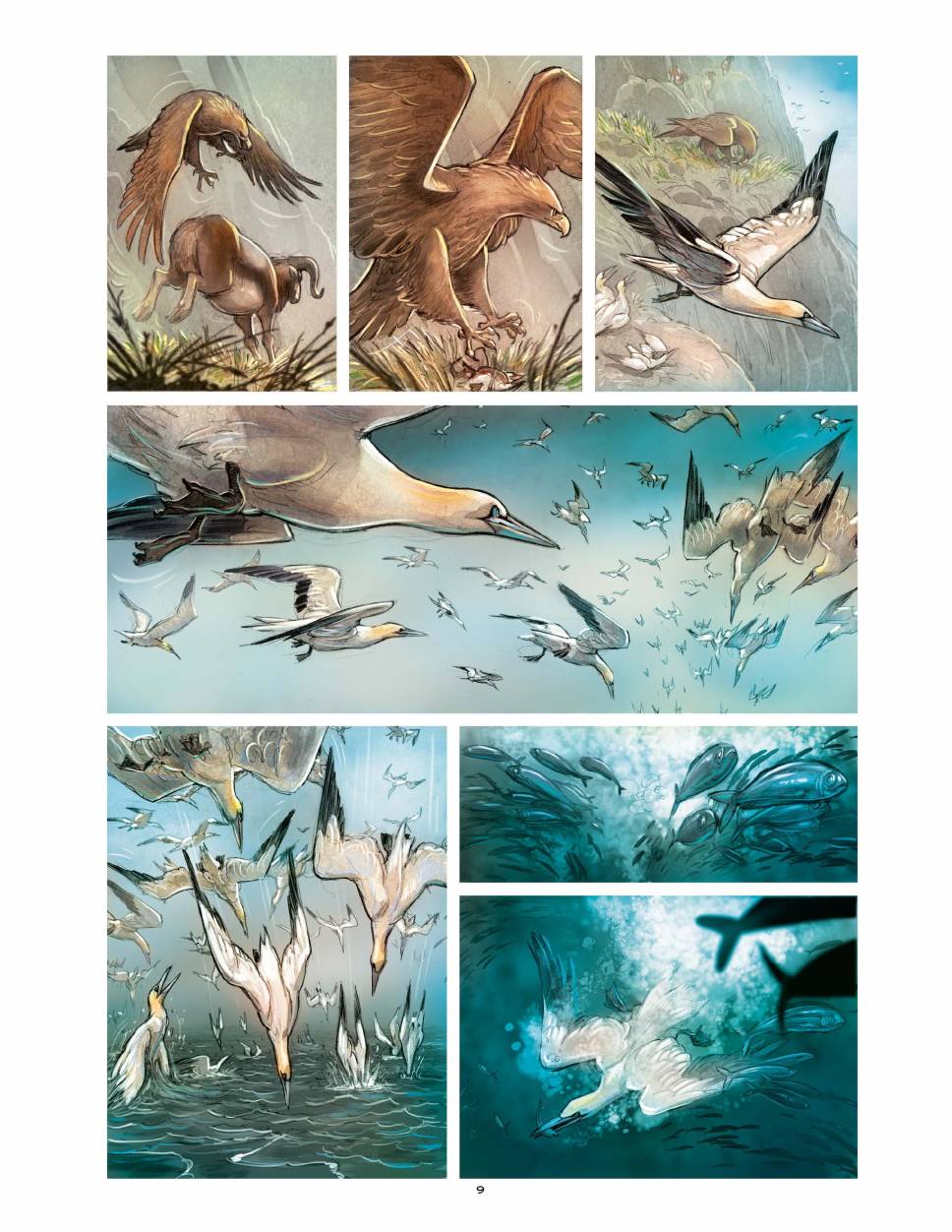 狐狸（75P）
