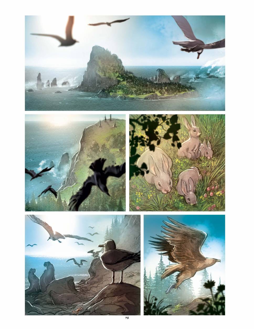 狐狸（75P）