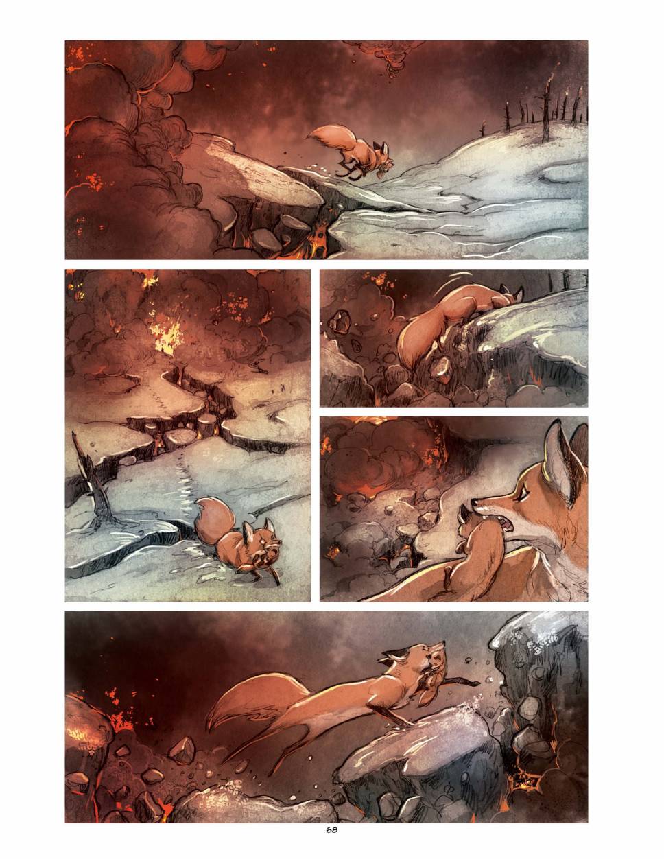 狐狸（75P）