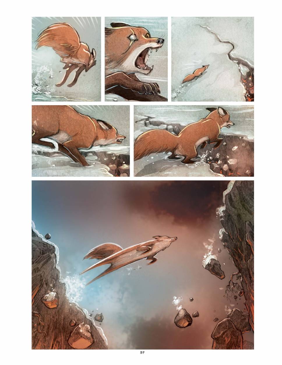 狐狸（75P）