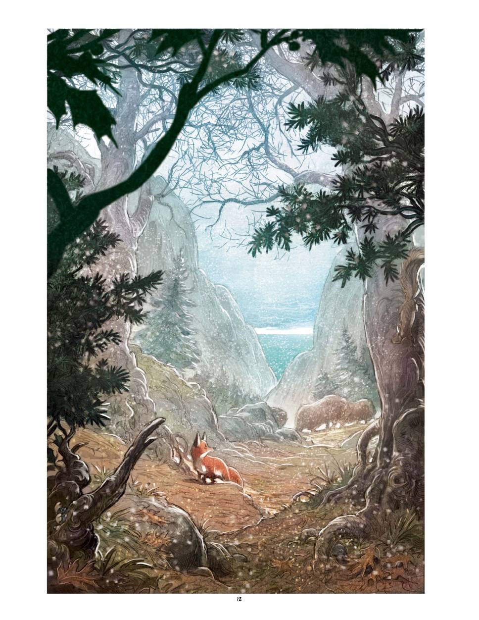 狐狸（75P）