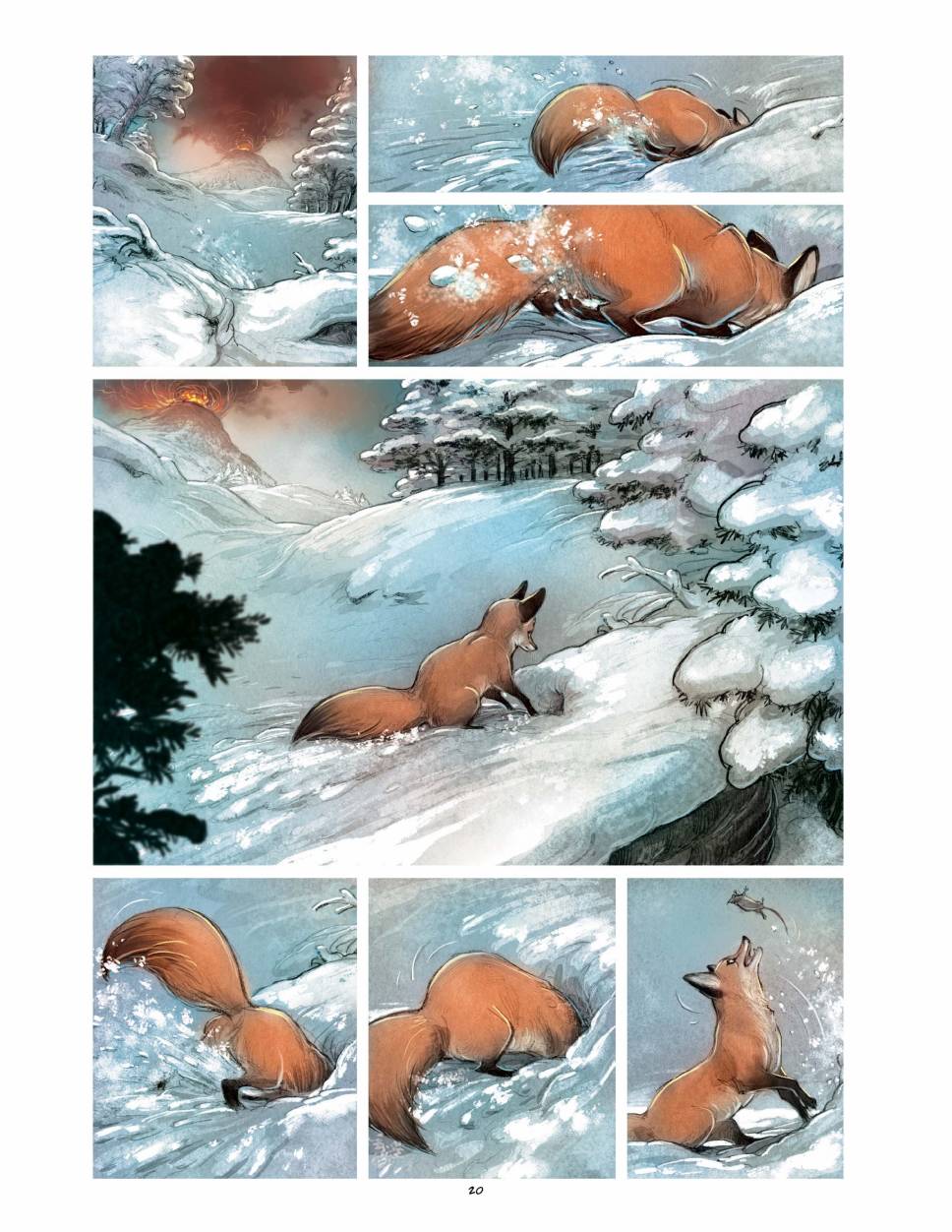 狐狸（75P）