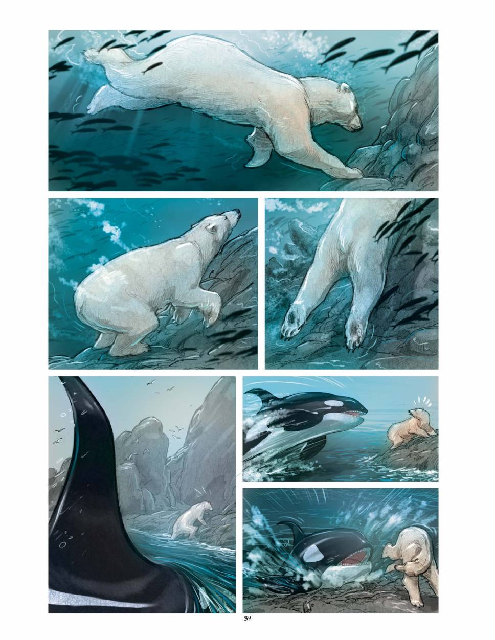 狐狸（75P）