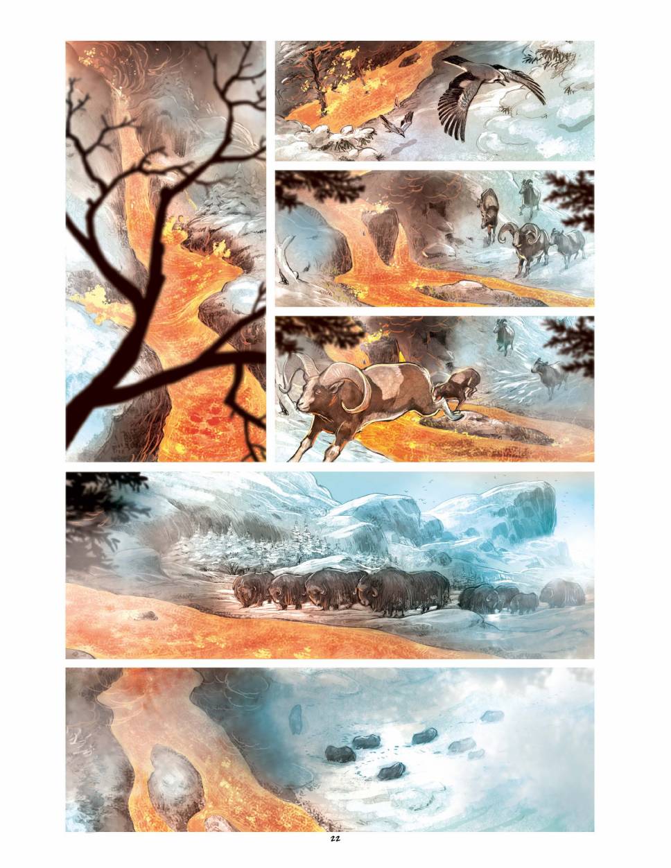 狐狸（75P）