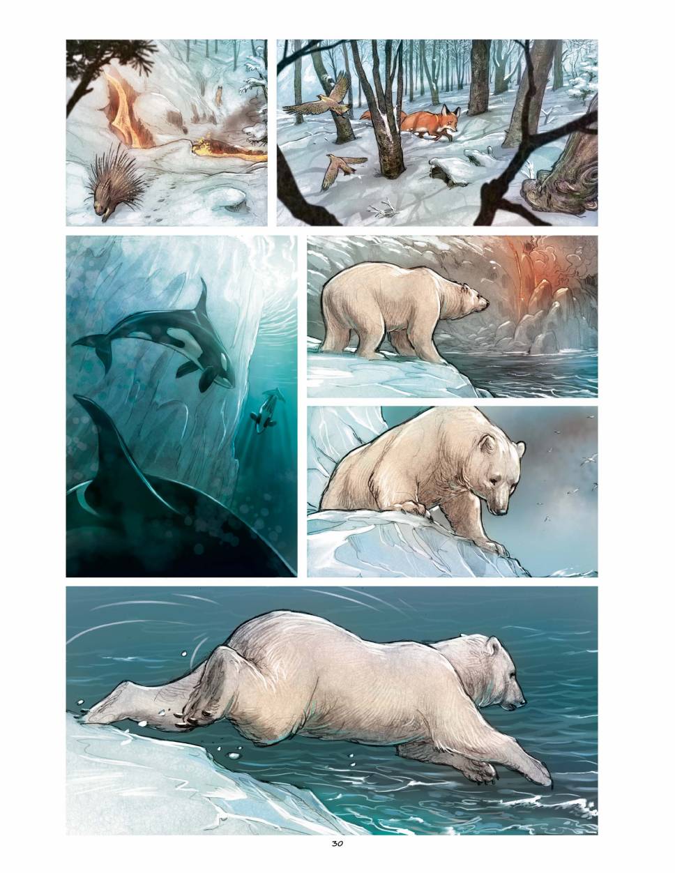 狐狸（75P）
