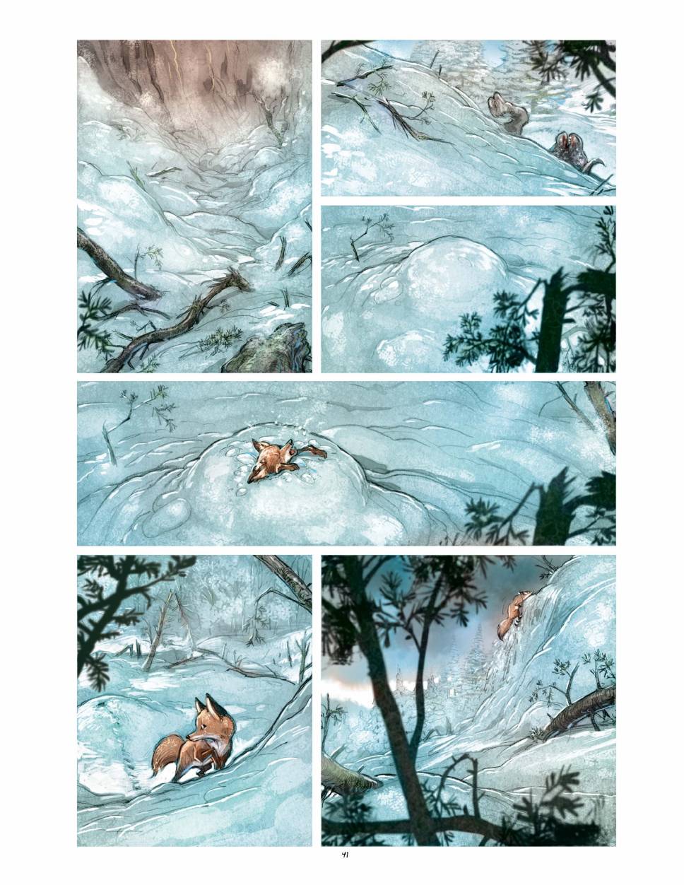 狐狸（75P）