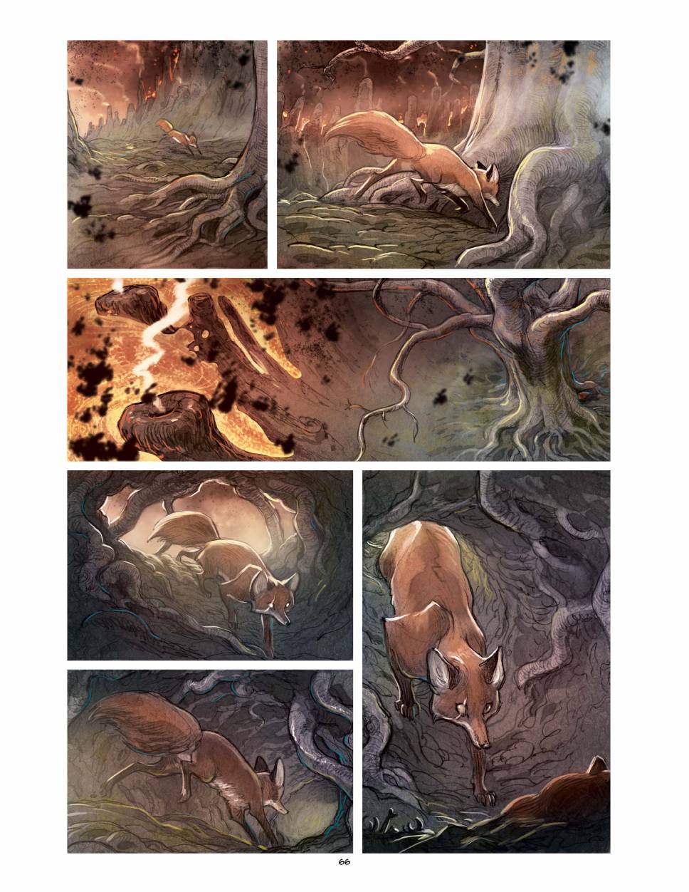 狐狸（75P）