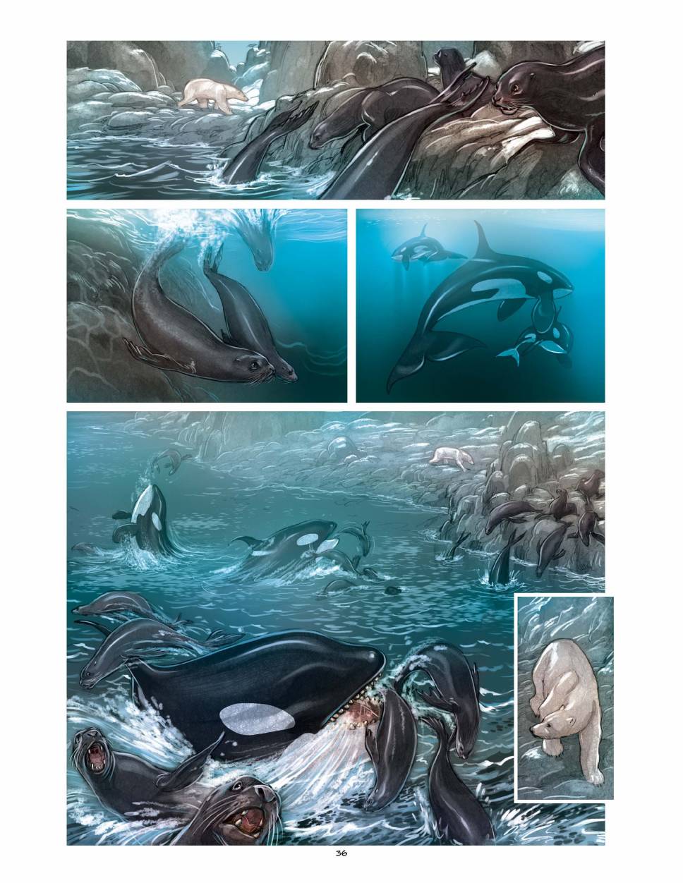 狐狸（75P）