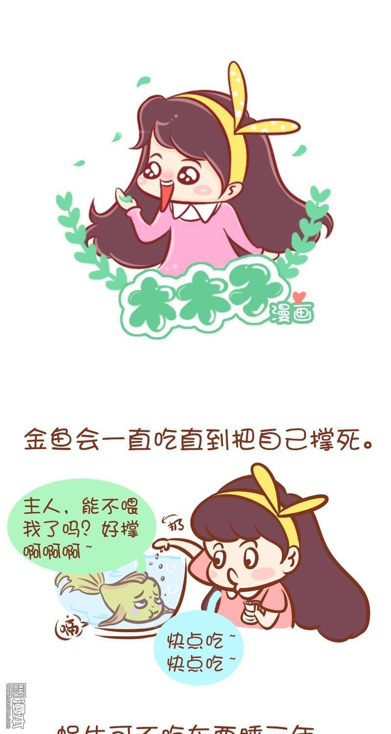 第48話我的蠢萌，你懂嗎？（6P）