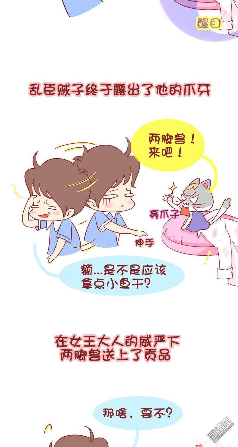 第164話被貓挑釁是一種什麼體驗？（7P）