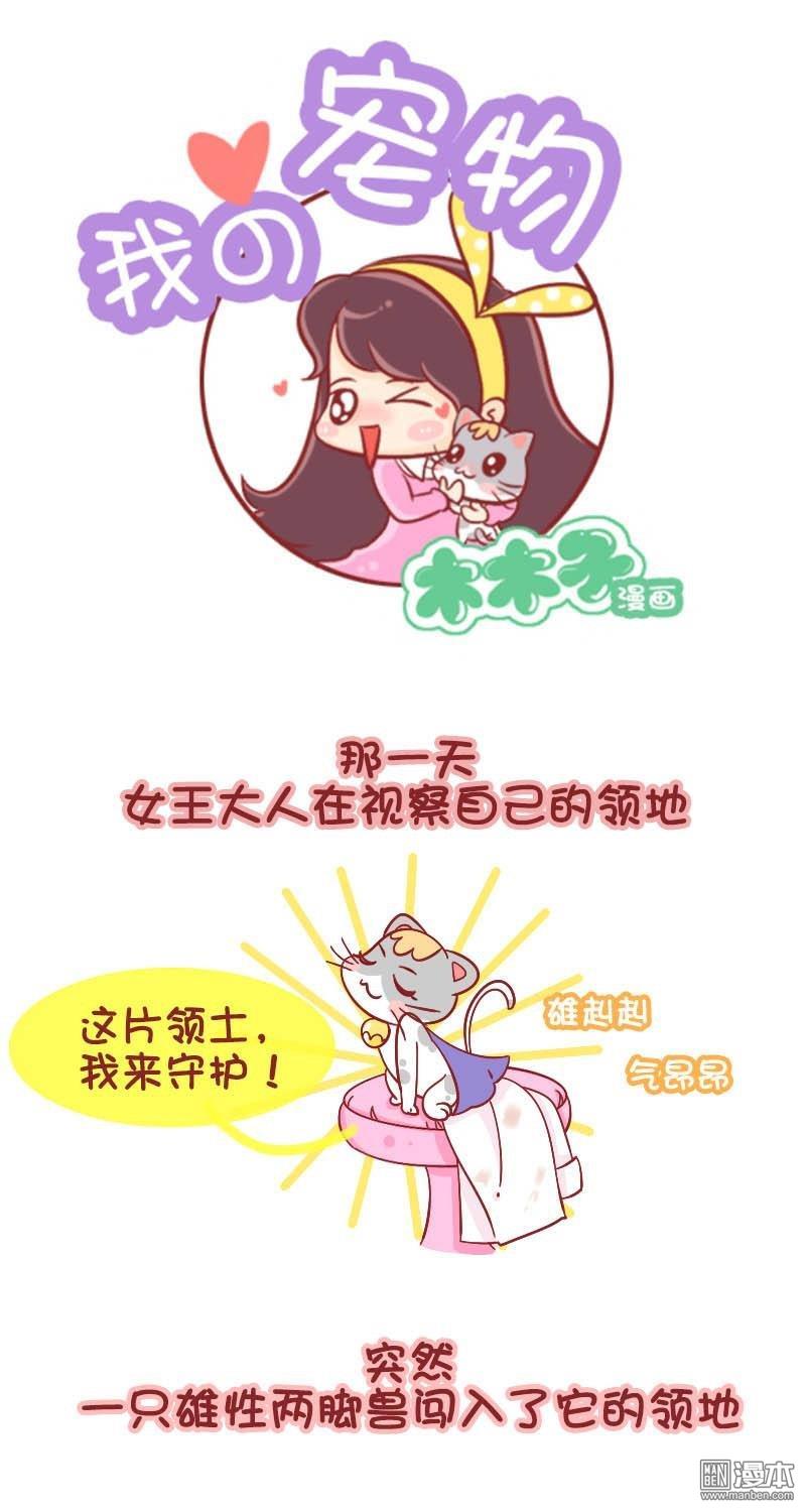 第164話被貓挑釁是一種什麼體驗？（7P）
