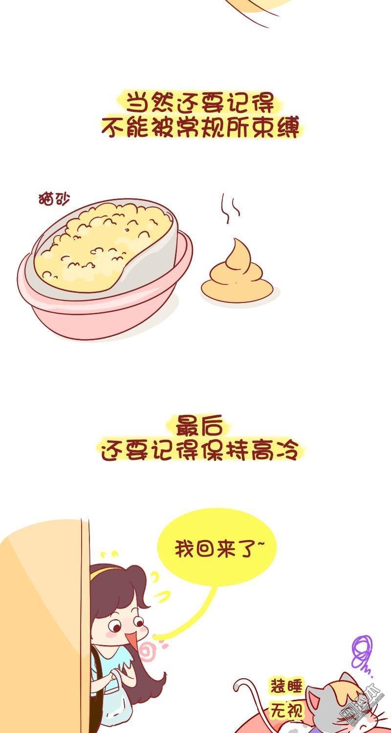 第204話布丁你真的只是一隻貓嗎（8P）