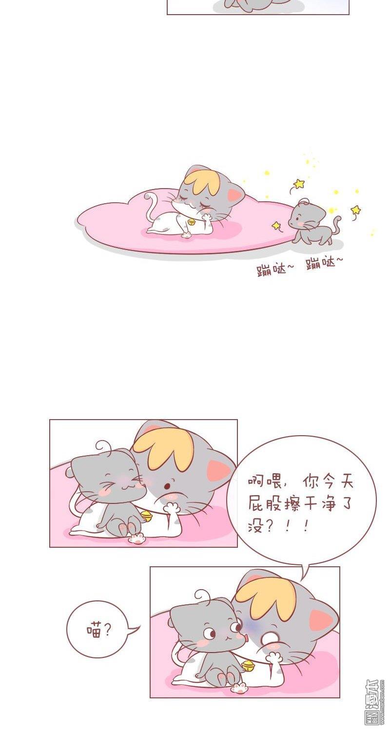 第246話喵星人攻佔地盤計劃！（9P）