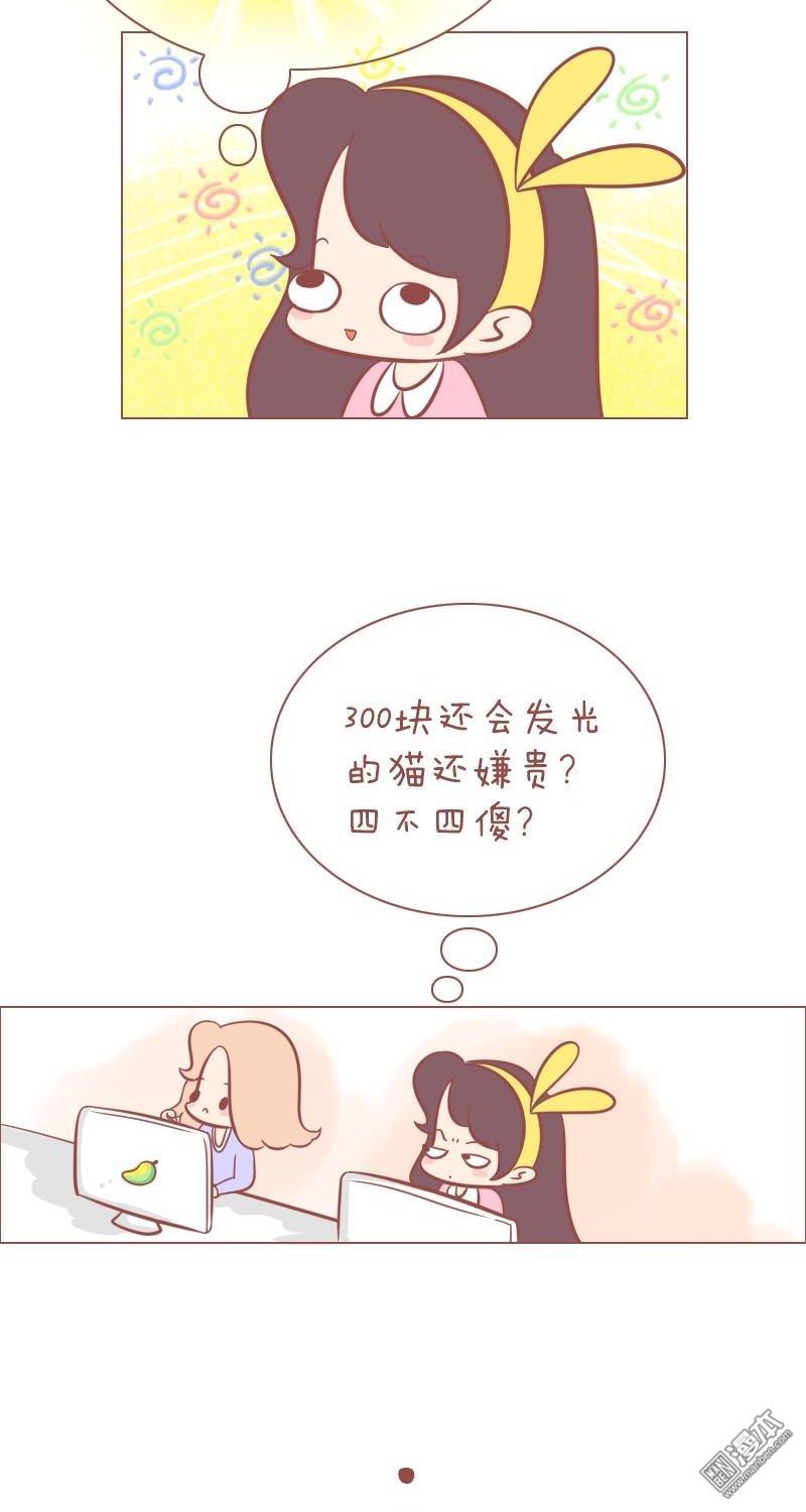 第260話光貓（6P）