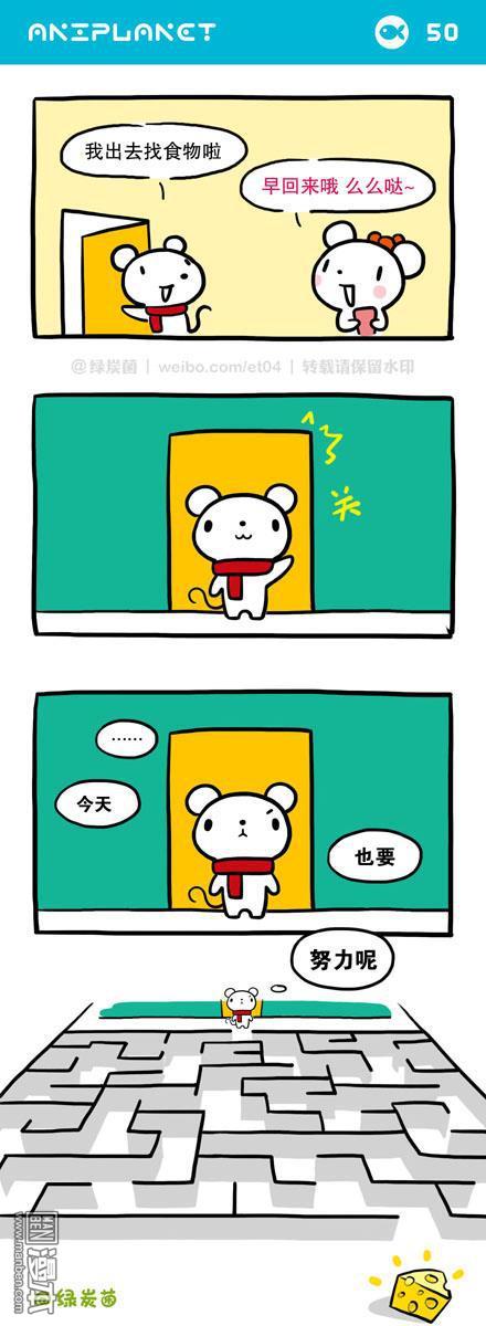 第55回（漫本）