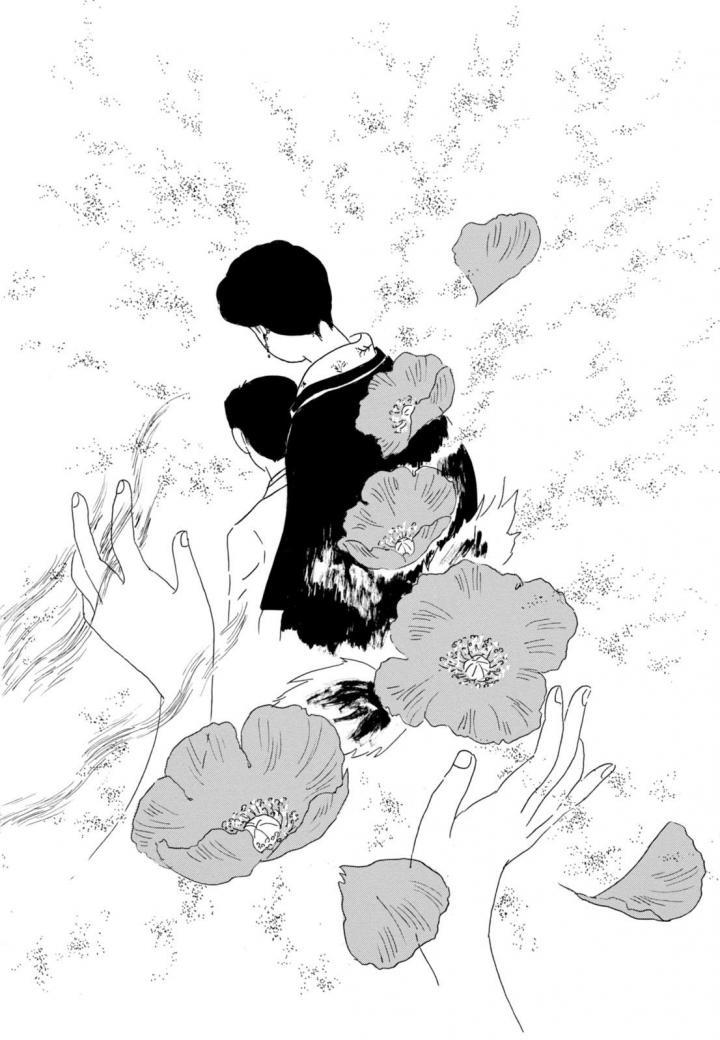 第2卷（50P）