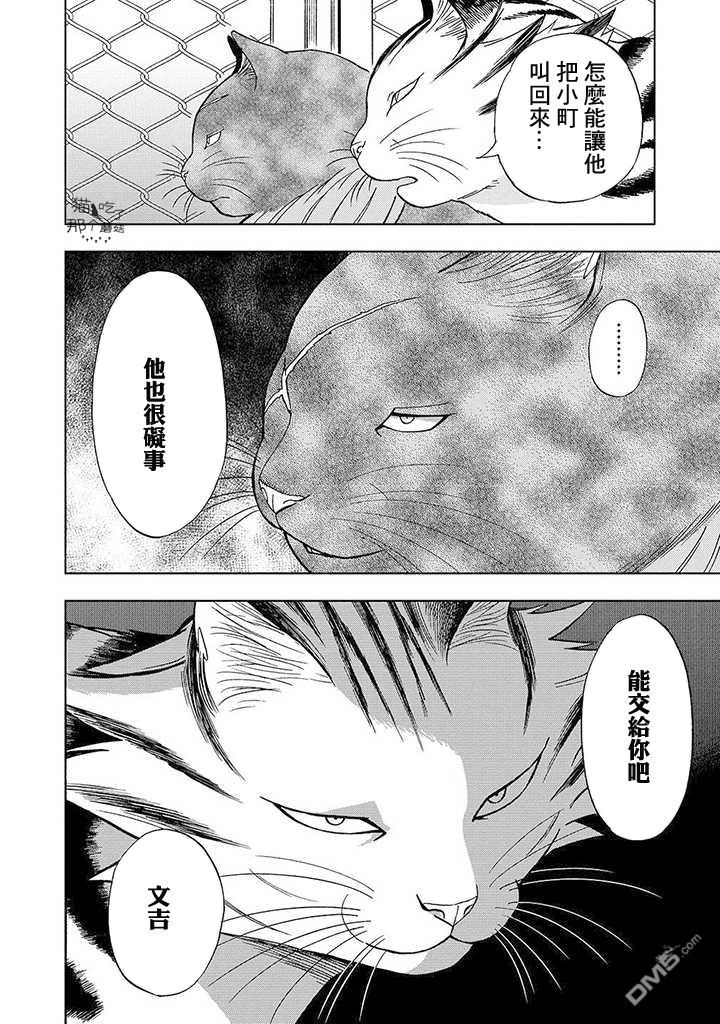 第11話（34P）