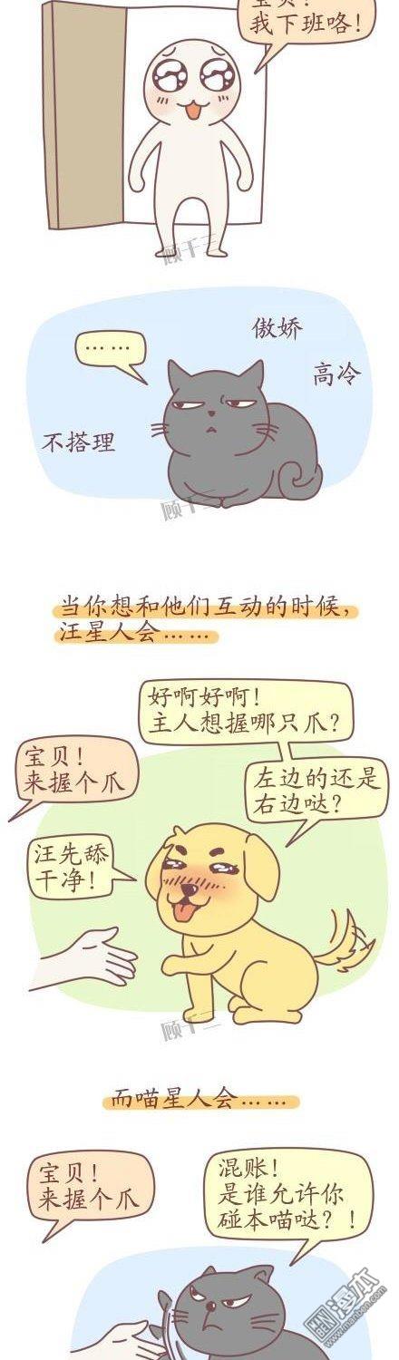 4040（5P）