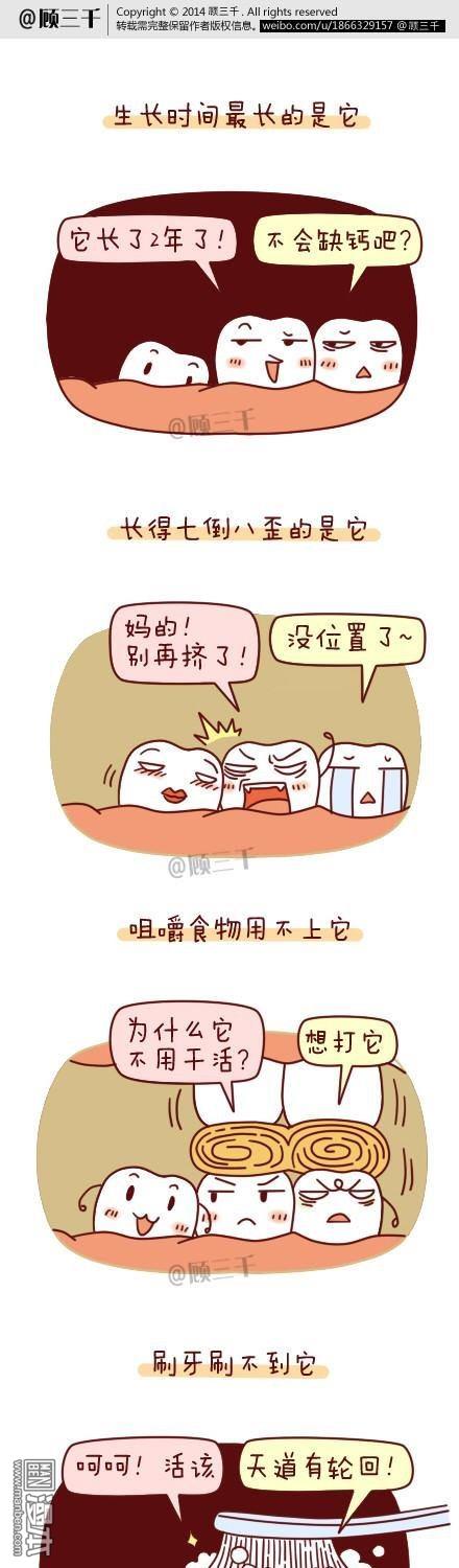 6565（4P）