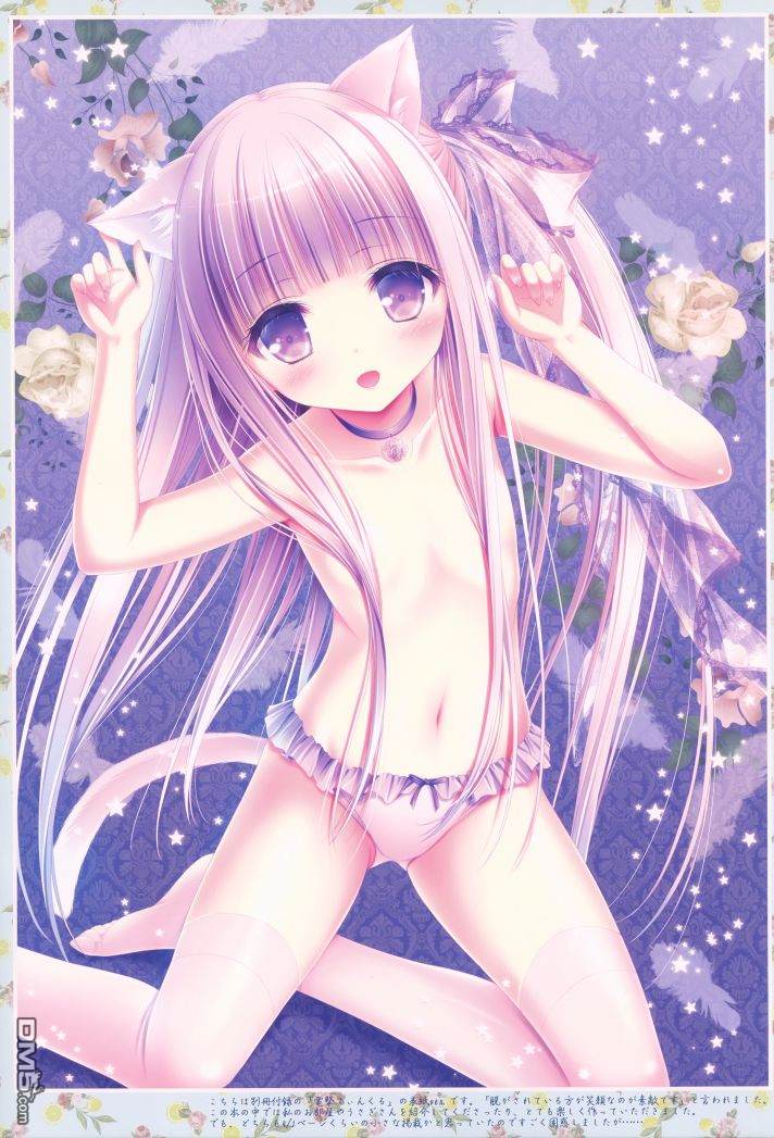 C94（15P）