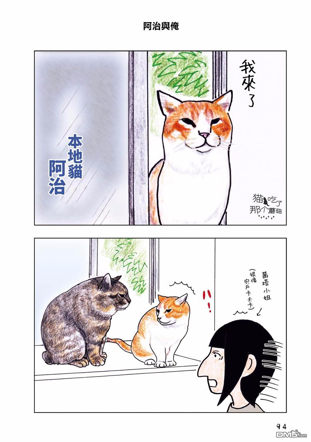 第33話（5P）
