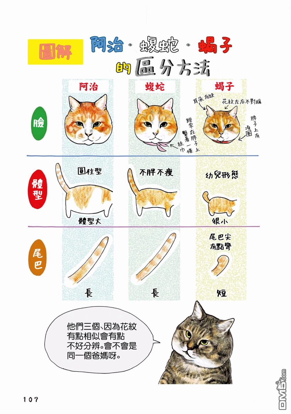 第118話（6P）