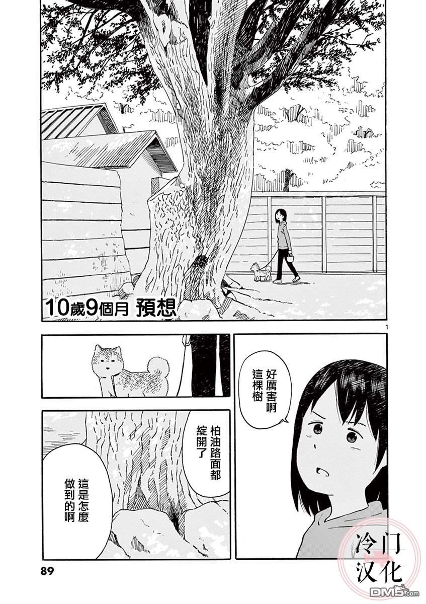 第2.4卷（26P）