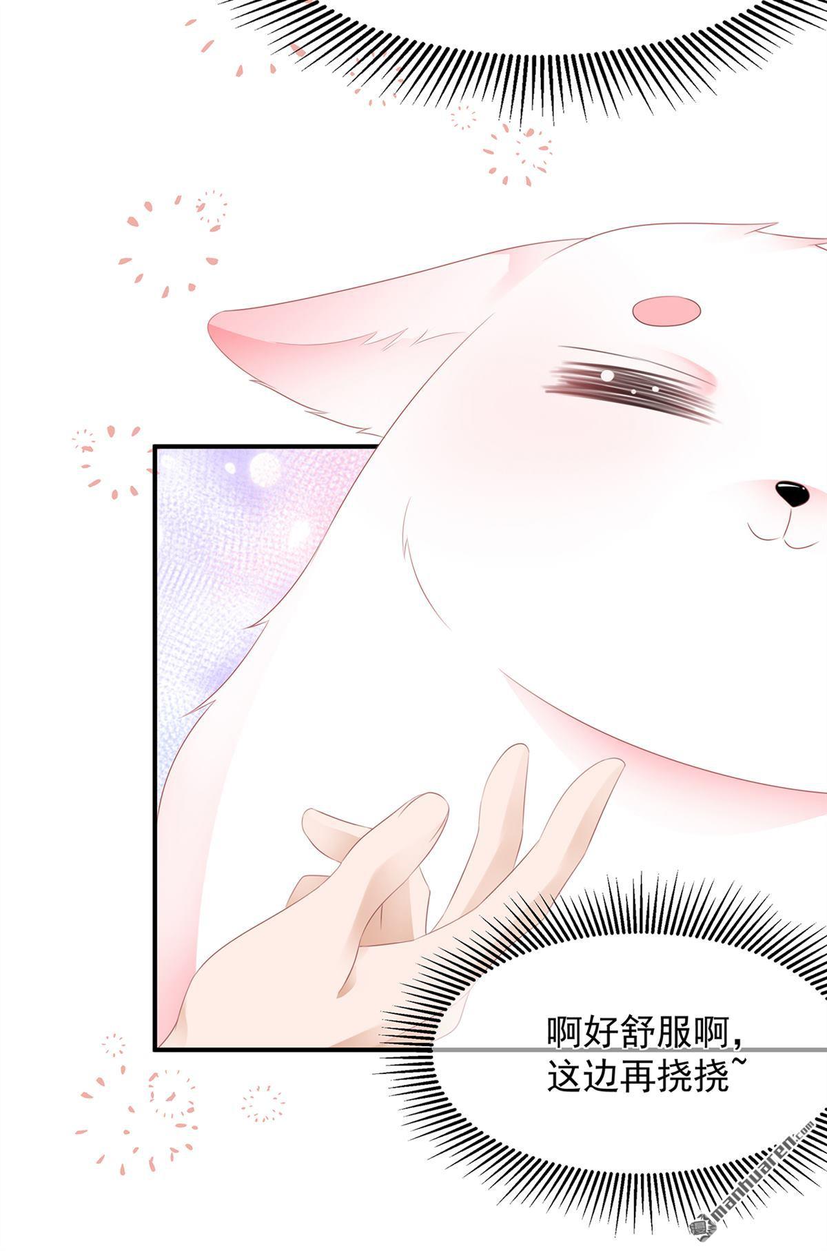 第5回將軍凌源（31P）