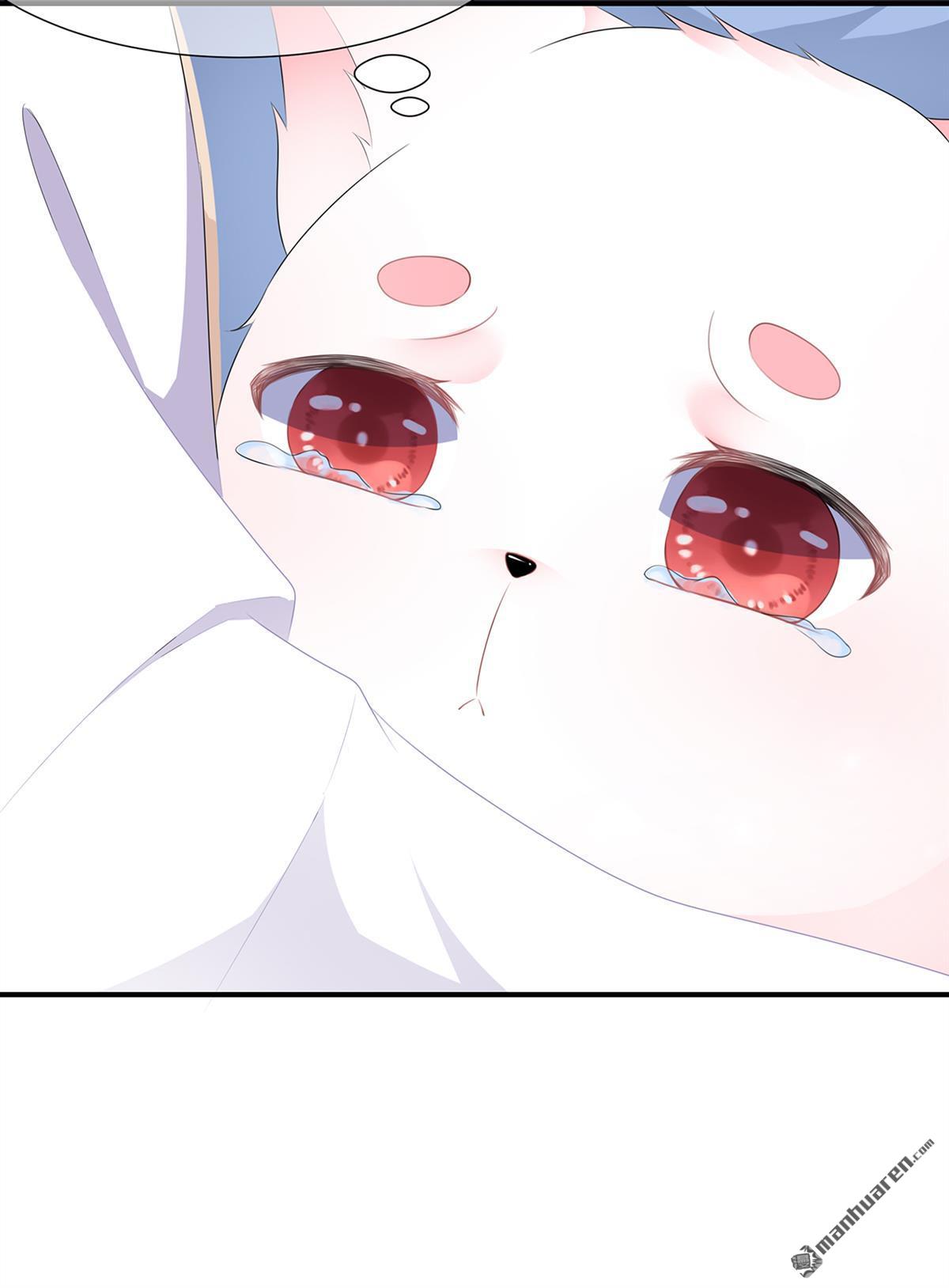 第5回將軍凌源（31P）