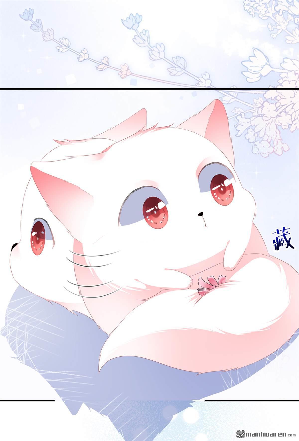 第11回侍女報復（34P）