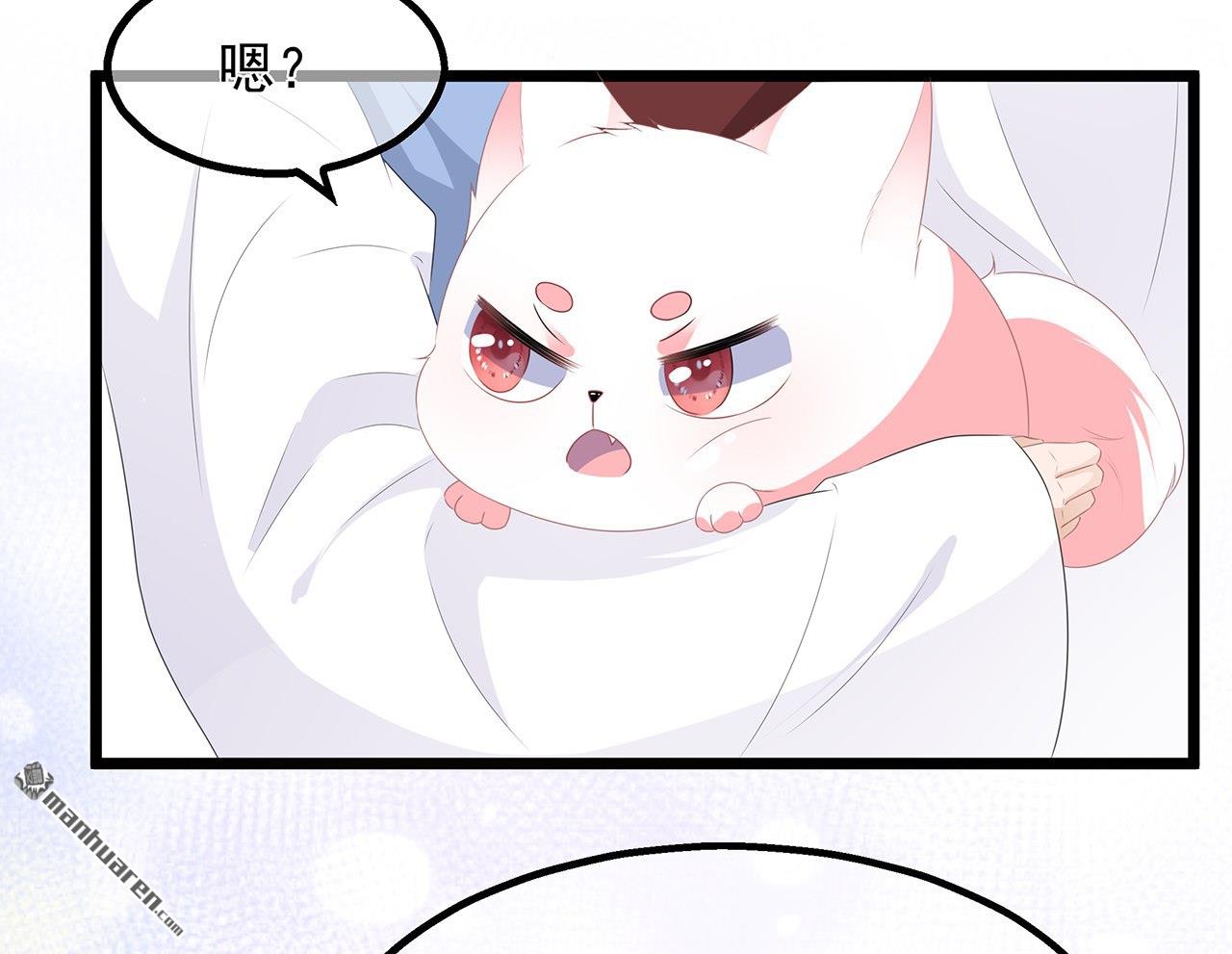 第26回肥狐炒飯（36P）