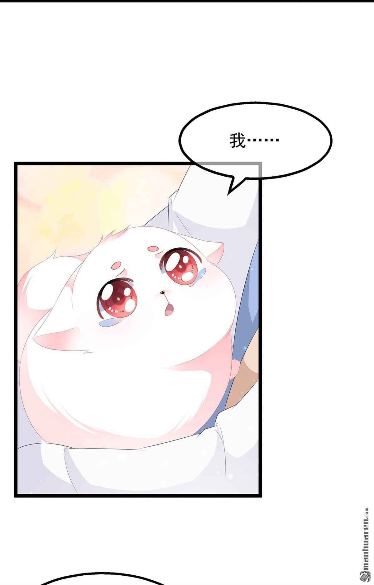 第26回肥狐炒飯（36P）
