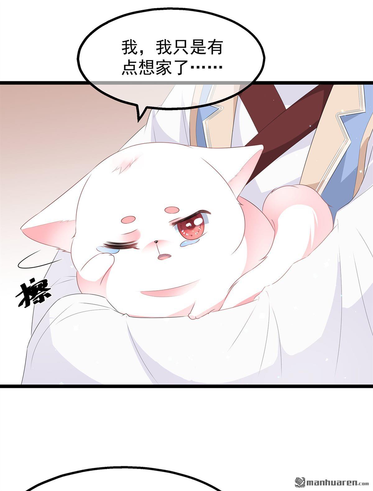 第26回肥狐炒飯（36P）