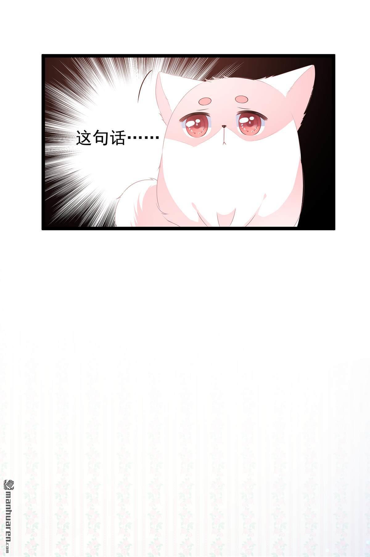 第26回肥狐炒飯（36P）